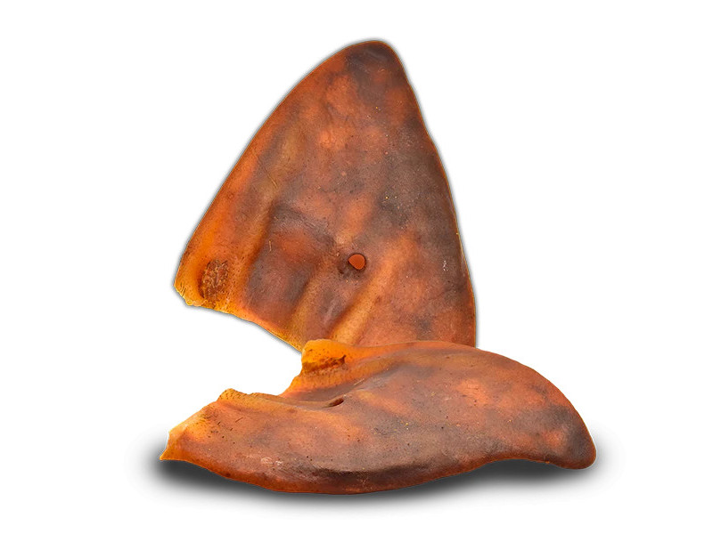 Oreja de cerdo individual L