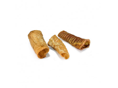 Traquea deshidratada