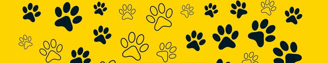 TODO PARA TU MASCOTA